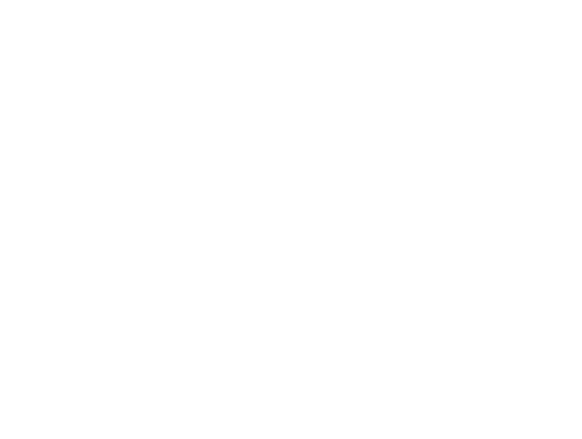 THE LAW FOCUS
